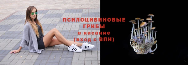 хмурый Балабаново